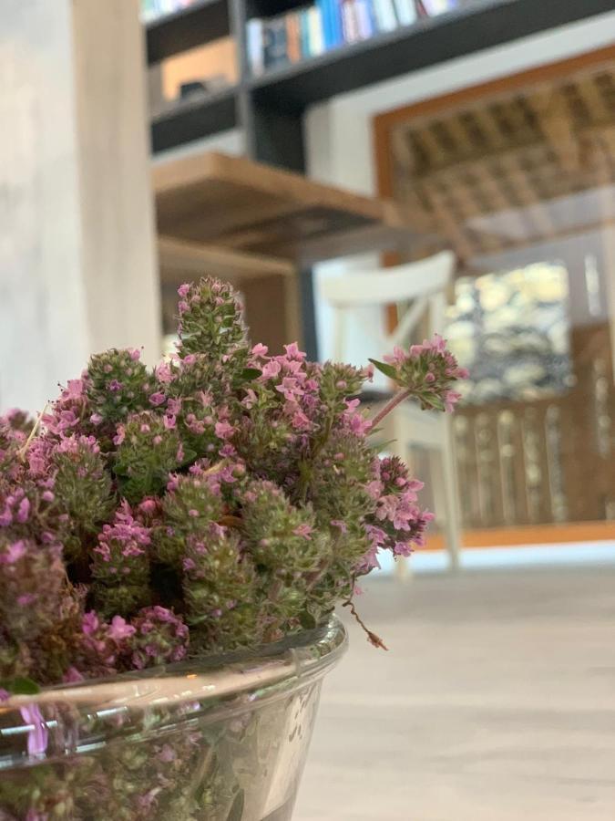 Casa Thymus Villa Soveja Eksteriør bilde