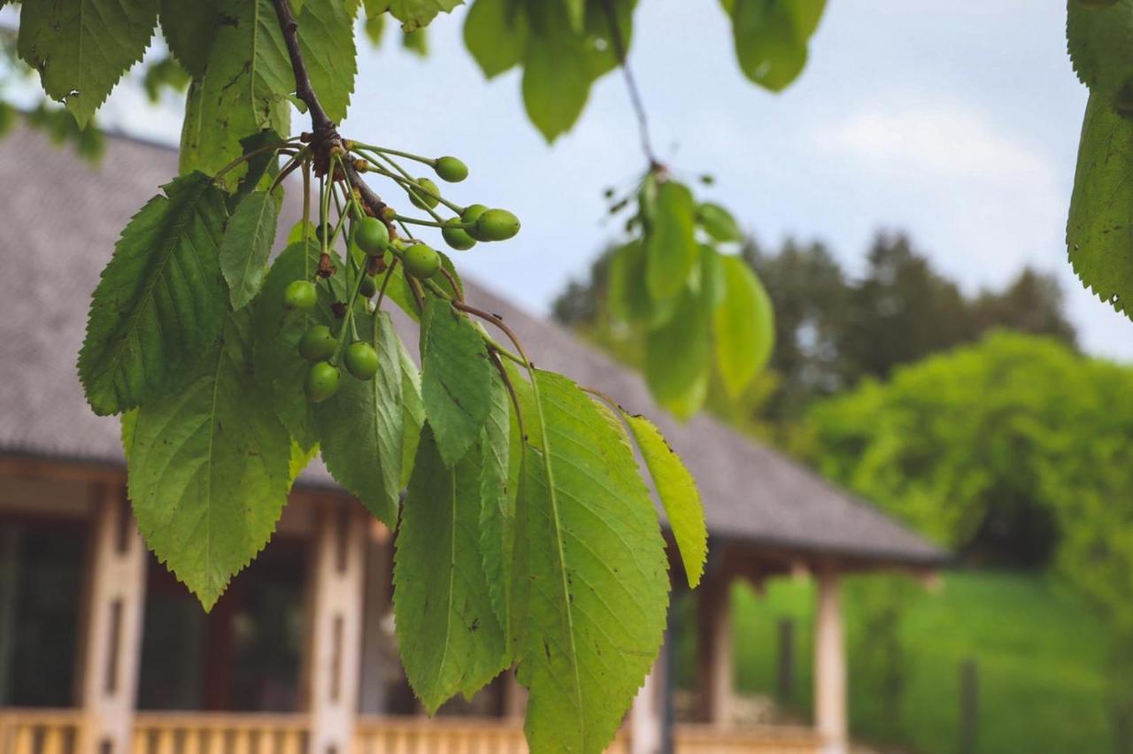 Casa Thymus Villa Soveja Eksteriør bilde